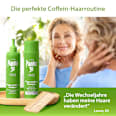 39 Phyto-Coffein Shampoo feines Haar Plantur 39