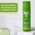 39 Phyto-Coffein Shampoo coloriertes Haar Plantur 39