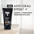 Conditioner Anti-Grau Effekt Plantur 39