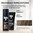 Conditioner Anti-Grau Effekt Plantur 39