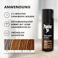 Shampoo Anti-Grau Effekt Warme Töne Plantur 39