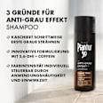 Shampoo Anti-Grau Effekt Warme Töne Plantur 39