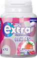 Pastillen, Professional Mints, Waldfrucht, zuckerfrei EXTRA