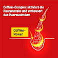 Haarwasser Coffein Liquid Alpecin