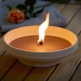 Citronella in Terracottaschale, creme keine Marke