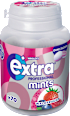 Pastillen, Professional Mints, Waldfrucht, zuckerfrei EXTRA