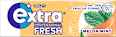 Kaugummi, Extra Professional Fresh, Melon Mint, zuckerfrei EXTRA