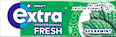 Kaugummi, Extra Professional Fresh, Spearmint, zuckerfrei EXTRA