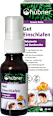 Melatonin Spray hübner