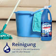Hygienereiniger Original DanKlorix