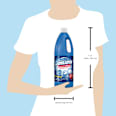 Hygienereiniger Original DanKlorix