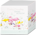 Dámska parfumovaná voda Tender Blossom Betty Barclay