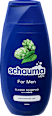 Sampon férfiaknak schauma