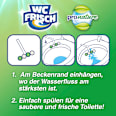 WC-Stein Kraft Aktiv Pro Nature Minze & Eukalyptus WC-Frisch