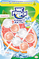 WC-Stein Kraft Aktiv Pro Nature Grapefruit WC-Frisch