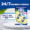 WC-Stein Kraft Aktiv Lemon WC-Frisch