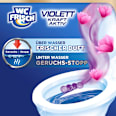 WC-Stein Violett Magnolie WC-Frisch