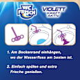 WC-Stein Violett Magnolie WC-Frisch