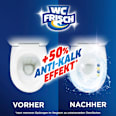 WC-Stein Kraft Aktiv Blütenfrische  WC-Frisch