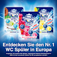 WC-Stein Kraft Aktiv Blütenfrische  WC-Frisch