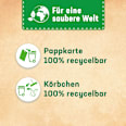 WC-Stein Kraft Aktiv Blütenfrische  WC-Frisch