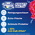 WC-Stein Kraft Aktiv Blütenfrische  WC-Frisch