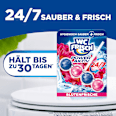 WC-Stein Kraft Aktiv Blütenfrische WC-Frisch