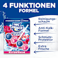WC-Stein Kraft Aktiv Blütenfrische WC-Frisch