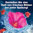 WC-Reiniger Blüten-Frische WC-Frisch