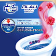 WC-Stein Blau Kraft Aktiv Blütenfrische WC-Frisch
