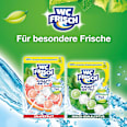 WC-Stein Kraft Aktiv Pro Nature Minze & Eukalyptus WC-Frisch