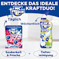 WC-Stein Kraft Aktiv Blütenfrische WC-Frisch