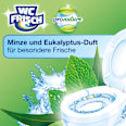 WC-Stein Kraft Aktiv Pro Nature Minze & Eukalyptus WC-Frisch