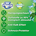 WC-Stein Kraft Aktiv Pro Nature Minze & Eukalyptus WC-Frisch