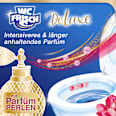  WC-Stein DeLuxe Delicate Magnolia WC-Frisch