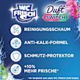 WC-Stein Duft Switch Grüner Apfel & Wasserlilie WC-Frisch