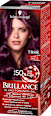 Tönung Dunkelbraun T880 Schwarzkopf Brillance