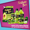 Festes Shampoo Avocado  Nature Box