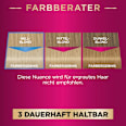 Haare Aufheller 220 Frostiges Silberblond Palette Intensive Color Creme