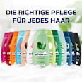 Shampoo Fresh it up! schauma