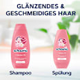 Conditioner 7 Blüten-Öl   schauma