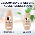 Conditioner Repair & Pflege schauma