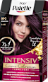 Haarfarbe 880 Aubergine, 1 St Palette Intensive Color Creme