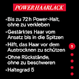 Haarlack Power Schwarzkopf taft
