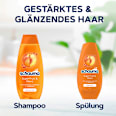 Shampoo Superfruit & Glanz schauma