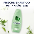Shampoo 7 Kräuter   schauma