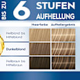 Strähnchen Set M1 Schwarzkopf Blonde