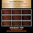 Ansatzset A3 Rotbraun  Schwarzkopf DIADEM