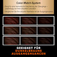 Ansatzset A4 Dunkelbraun  Schwarzkopf DIADEM