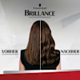 Farb-Glanzbehandlung Glossing Schoko Braun Schwarzkopf Brillance